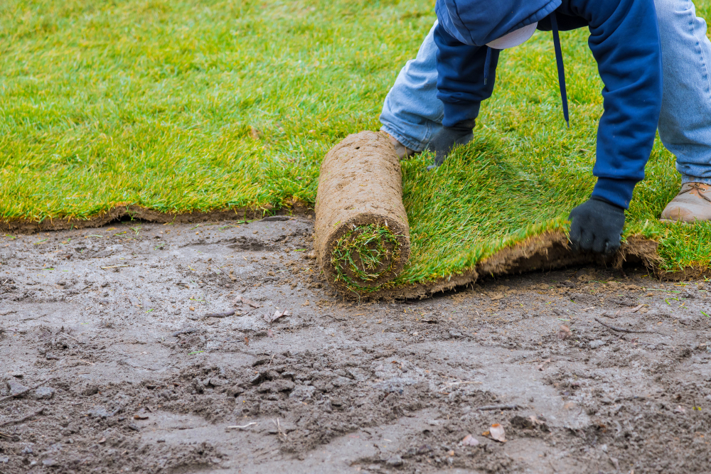 new-lawn-rolls-fresh-grass-turf-ready-be-used-gardening